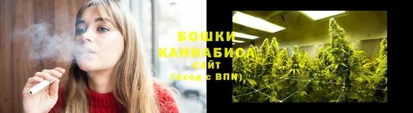 PSILOCYBIN Арсеньев