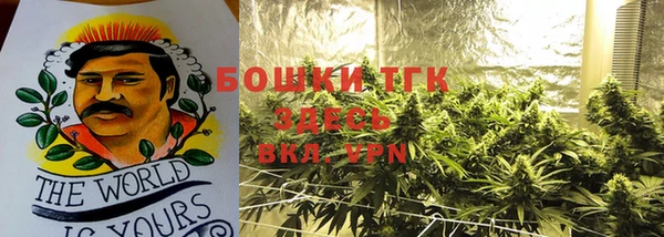 PSILOCYBIN Арсеньев