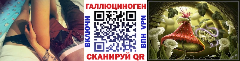 Псилоцибиновые грибы Cubensis  Губаха 